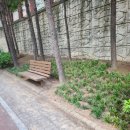 보행자전용도로 이미지