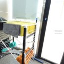 자이언트 디테일링 이미지