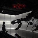 뷰티센스 이미지