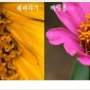 송이와다발 - 남동구 석산로 3 | 송이와다발
