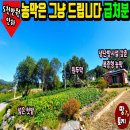 여주-0208 네이버블로그