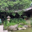 힐링 바이올린 이미지