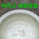 매니아카페