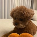 두리동물병원 이미지