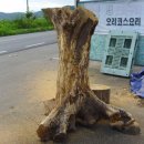 밤나무식당 이미지