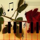 성악팝페라(기초) 이미지