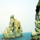 금목조경 이미지