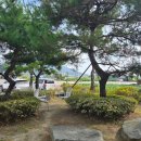 호박PC | 인천 <맛을담은강된장 강화도본점> 강화도 드라이브 중 만난 건강 한끼 내돈내산