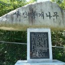 대왕보건진료소 이미지