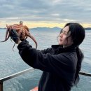 홍남교 공중화장실(두바퀴) | 마산 원전 선상낚시터에서 보낸 하루 / 25시 낚시 좌대낚시 &amp; 문어낚시🐙💛