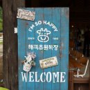 둥지목장 | 춘천 해피초원목장 입장료 당일치기 여행 비오는날 후기