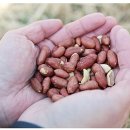 하영농장 이미지