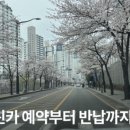 그린카서비스 | [G카/그린카] 면허만 있으면 끝! 대여 방법 &amp; 이용 요금 총정리 (feat. 할인 꿀팁)