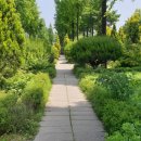 푸른수목원 이미지