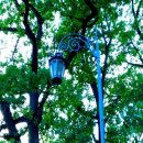 튀김바사삭 이미지