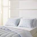 원크린본점 이미지