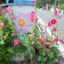 여운포리경로당 이미지