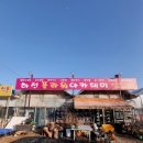 장안꽃시장 이미지