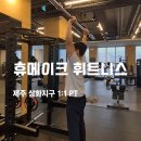 피트니스 멘토 | 제주 삼화지구헬스장 휴메이크 휘트니스! 거북목 교정과 등 운동 2회차 PT 후기