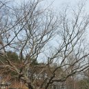 제내2리 이미지