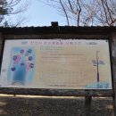 화랑유원지(중심광장) 이미지