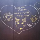 독플레이스 이미지