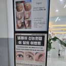 이도브로우앤네일