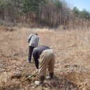 서화농장 이미지