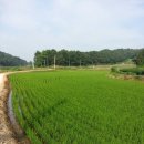 머물농장 이미지