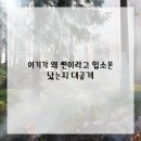 수 테라피 이미지