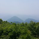 꽃길약국 Daum카페