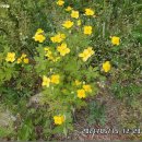 평화3리 이미지