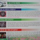 새집추어탕 이미지