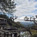 행정사감병기사무소 이미지