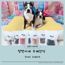 와와네 수제간식 이미지