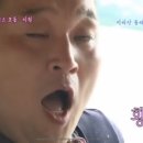 회바라기 이미지