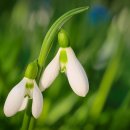 수성구보건소 이미지