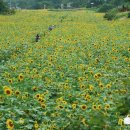 구와우농장 이미지