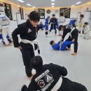 (주)레드비