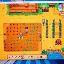 팽나무 농장 | 창원 팽나무, 귀농했던 일주일 후기