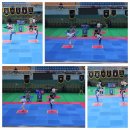 경희대 국가대표 태권도 이미지