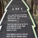 하늘도, 날씨도, 길도, 단풍도 넘 좋다-진해편백숲길 이미지