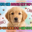토비동물병원 | 강아지 이름 2026년 인기 TOP 50 | 남아·여아·견종별 추천 + 이름 짓기 꿀팁🐶