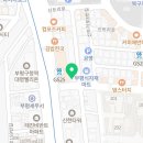 인천부평 요미독앤캣 강아지분양 고양이분양 이미지