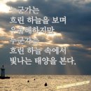 여명 Daum카페