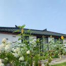 우도해바라기민박 | 제주도우도펜션 숙박까지 완벽하게!