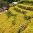 지실경로당 이미지