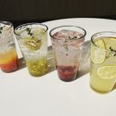 라쿠스205 티스토리