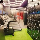 종로청운스포렉스 피트니스센터 이미지