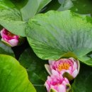 욜로올레제주 이미지